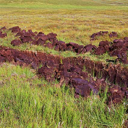 gaining of peat