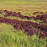 peat cutting