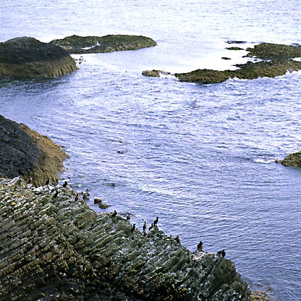 Staffa 8