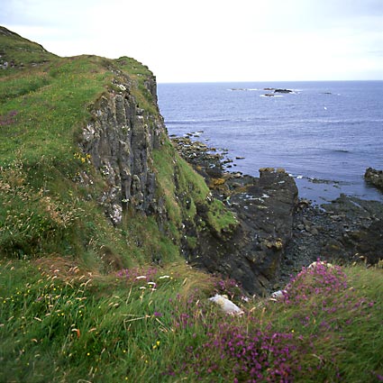 Staffa 11