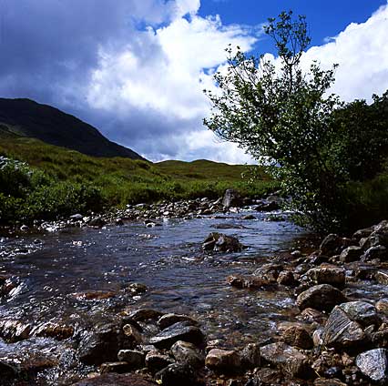 Glen Tarbert