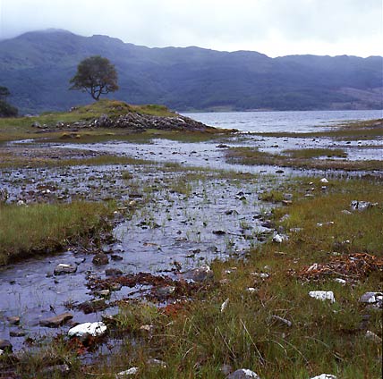 Camuschoirk, Sunart, Scotland