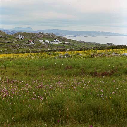 machair, Oldshoremore