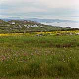 machair, Oldshoremore