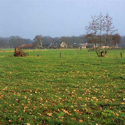 Achterveld 1