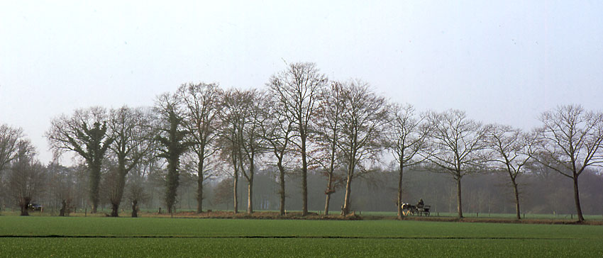 Achterveld 3