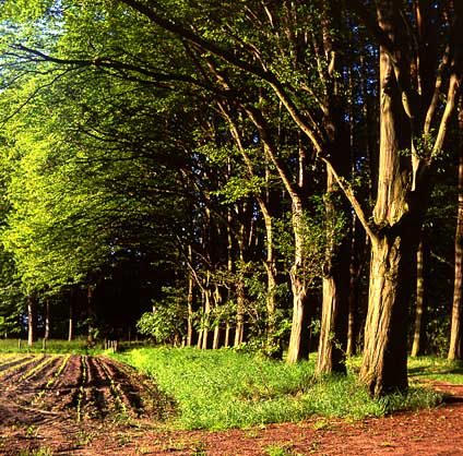 the Netherlands, Stoutenburg