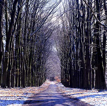 Nederland, Gelderland, Ginkelse Hei