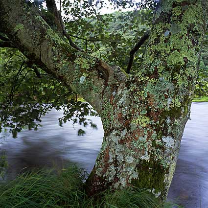 Rhyd-y-sarn, Powys, Wales