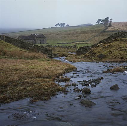 High Force 1