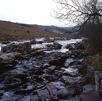 High Force 1