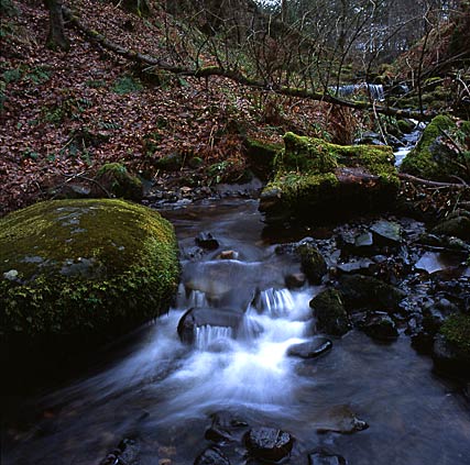 High Force 2