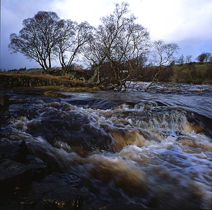 Low Force