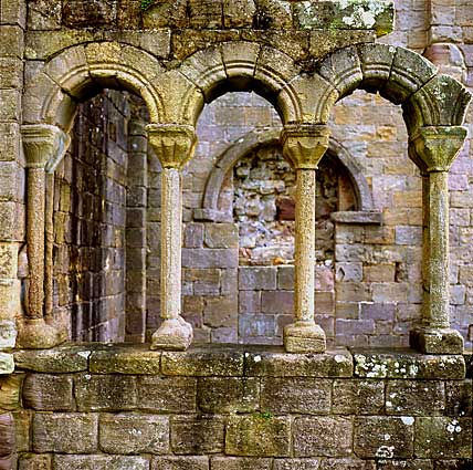 Fountains Abbey 4