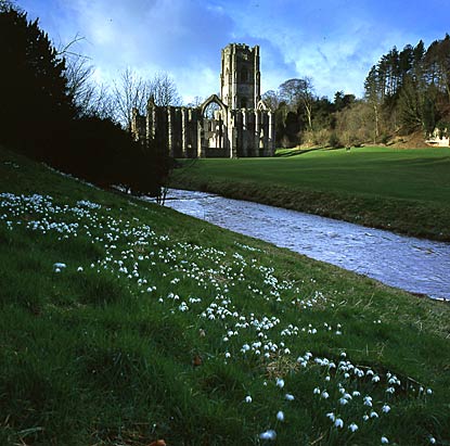 Fountains Abbey 6