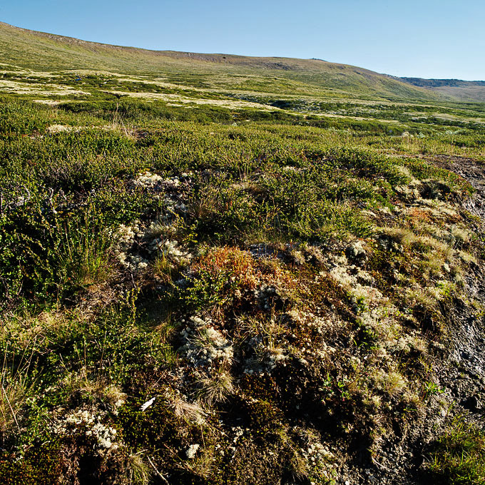 Rondane - Fjellheim 1