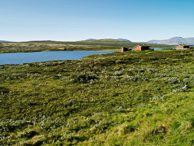 Rondane - Fjellheim 2