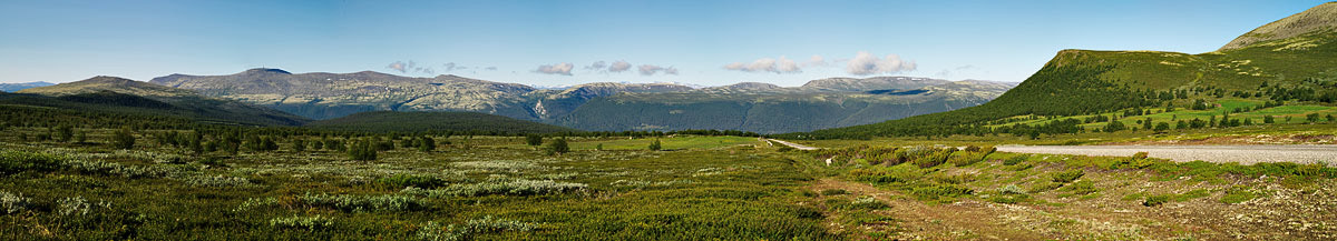 Rondane - Fjellheim 2