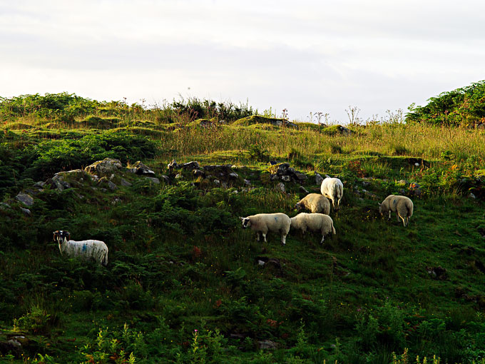 Ardchiavaig 13