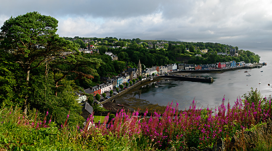 Tobermory 7