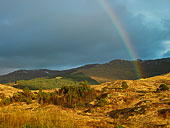 Loch Lomond