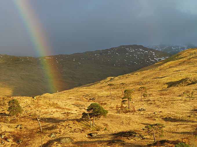 Glen Falloch 5