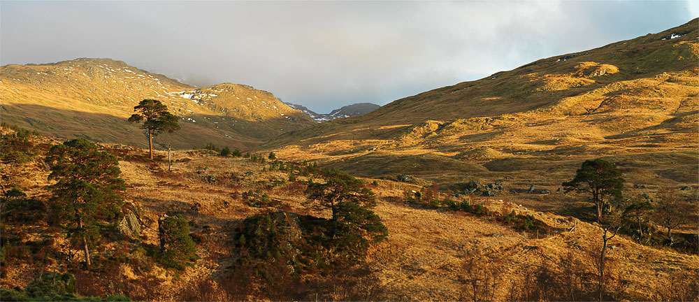 Glen Falloch 6