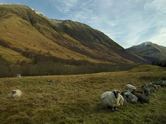 Glen Nevis 1