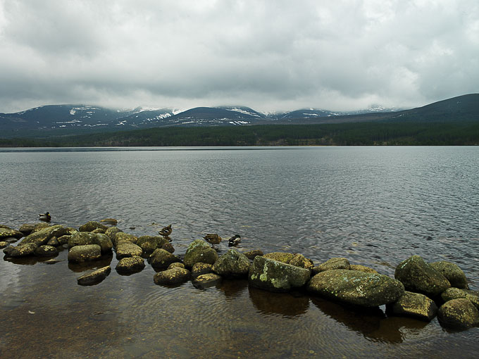 Loch Morlich 3