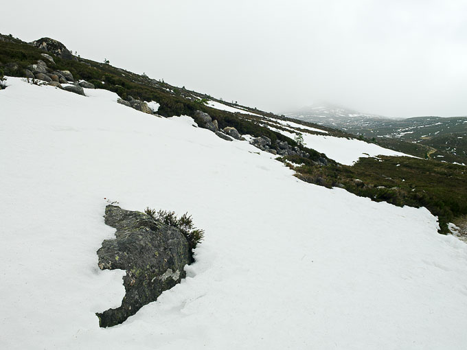 Cairngorm 8