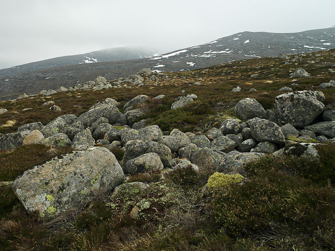 Cairngorm 15