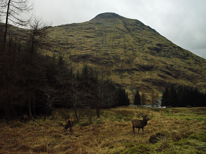 Glen Etive 23