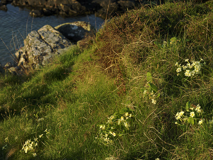 Portnaluchaig 19