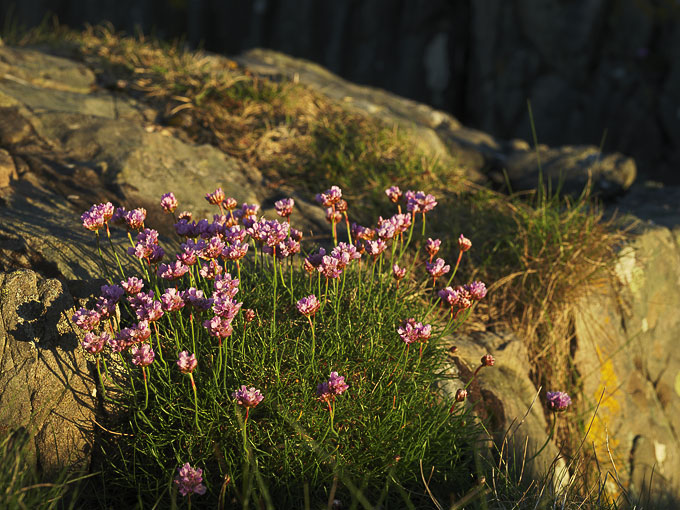 Portnaluchaig 21