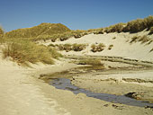 Ardnamurchan