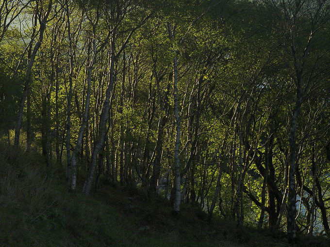 Lochailort 6