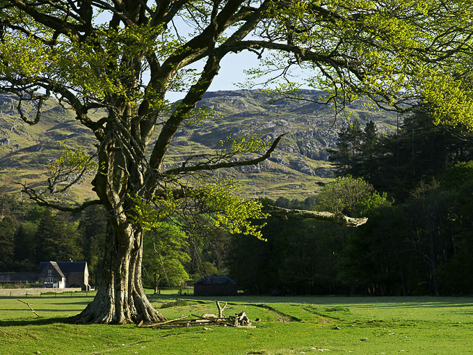 Borrodale House 3