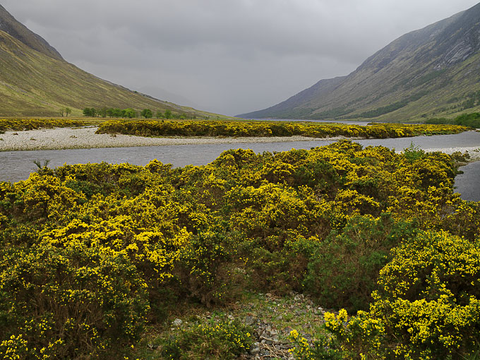 Glen Etive 24