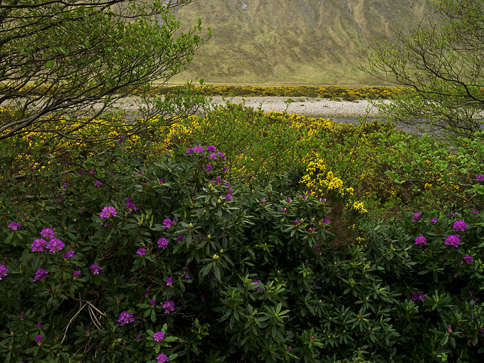 Glen Etive 25