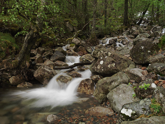 Glen Nevis 15