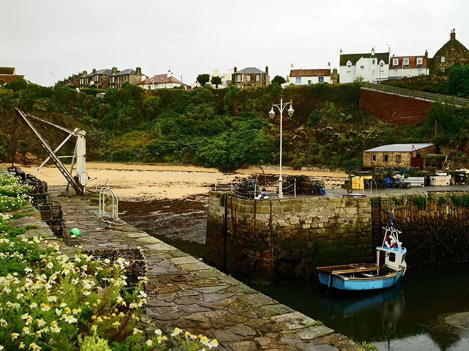 Crail 10