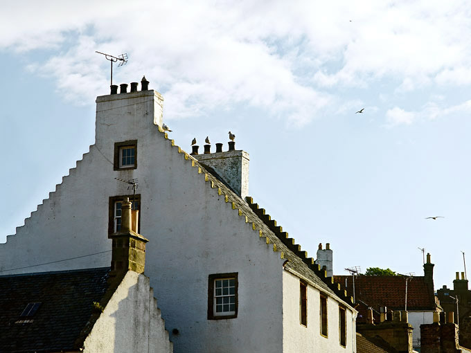 Crail 8