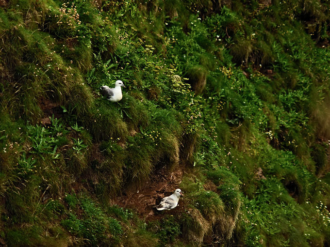 Duncansby Head 13