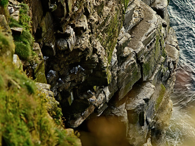 Duncansby Head 25