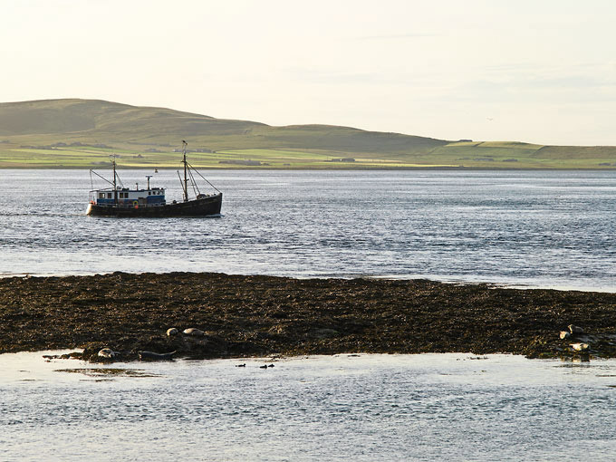 Stromness 8