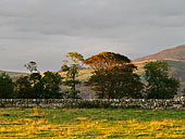 Galloway: the Machars peninsula